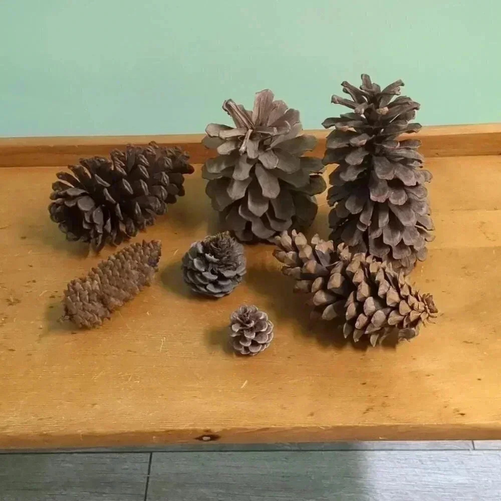 Christmas Pine Cones - Picture 2 of 3